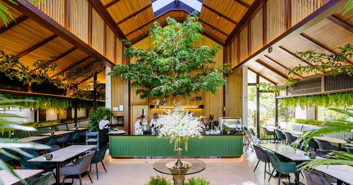 trees and co thailand